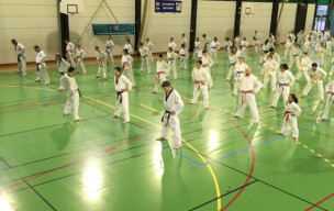 Taekwondo